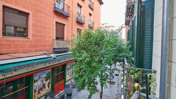 Habitacion Maravillosa En Apartamento Compartido Madrid Centro Dış mekan fotoğraf